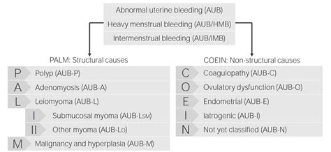 aub in medical term.